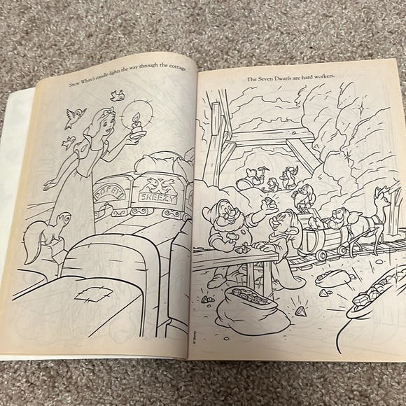 Set of 4 coloring books (2 Disney Princess and 2 adult) - Picture 6 of 16